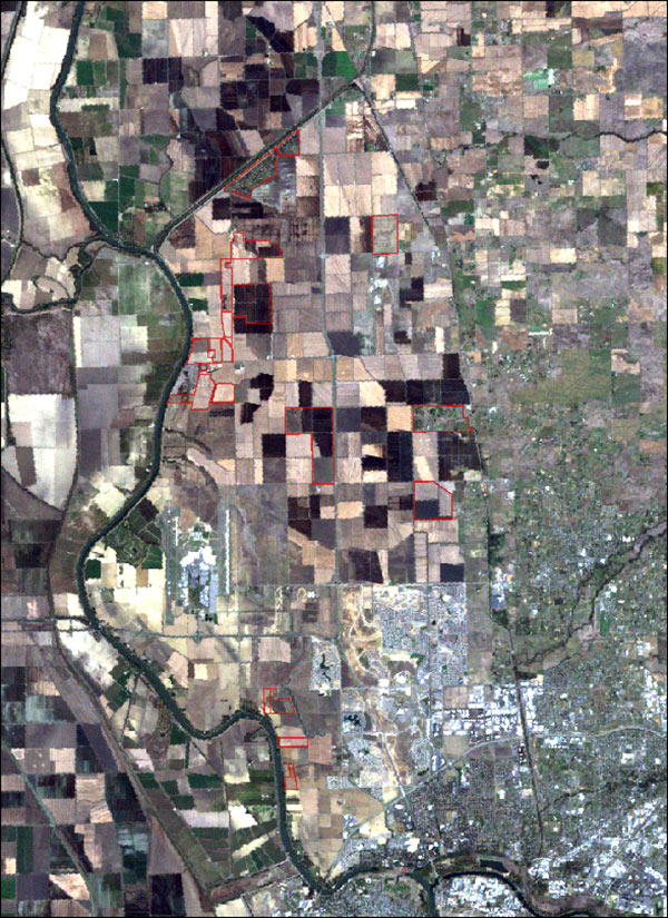 satellite image of the Natomas Basin with marsh restoration and enhancement projects outlined in red