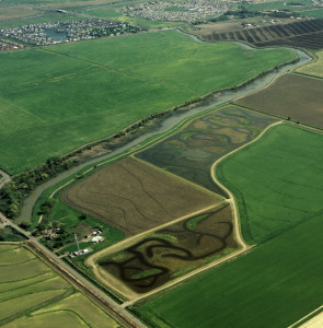 Aerial view of the Conservancy's Natomas Farms 2003 managed marsh project. Note Fisherman's Lake to the left and behind the marsh area, with suburban Sacramento in the far background.