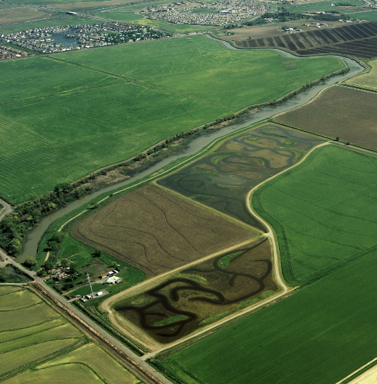 Aerial view of the Conservancy's Natomas Farms 2003 managed marsh project
