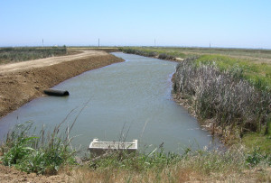 mid-shot of water channel at post-maintenance flood-up