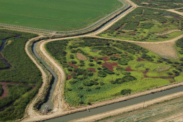 aerial view of water channels before maintenance was done to marsh complexes