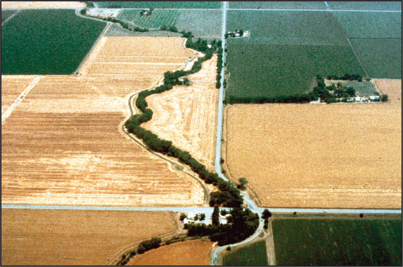 Aerial view of land showing sections of fields and trees that is typical Swainson's hawk habitat.