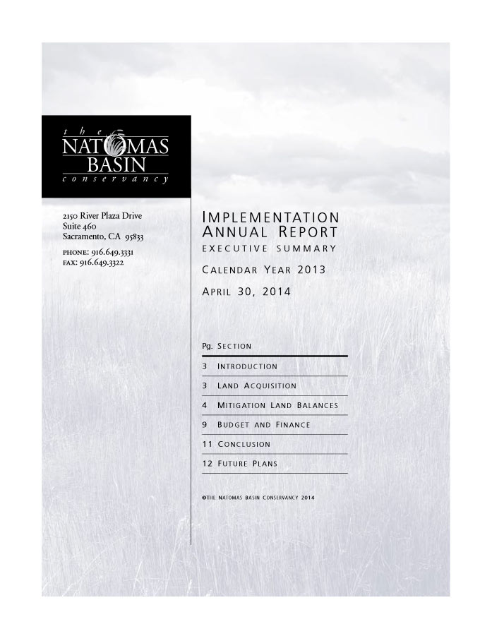 text cover of the 2013 Annual Implementation Report Executive Summary