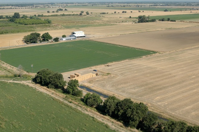 aerial view of a green alfalfa patch with adjacent irrigation and a dirt area for harvesting vehicles