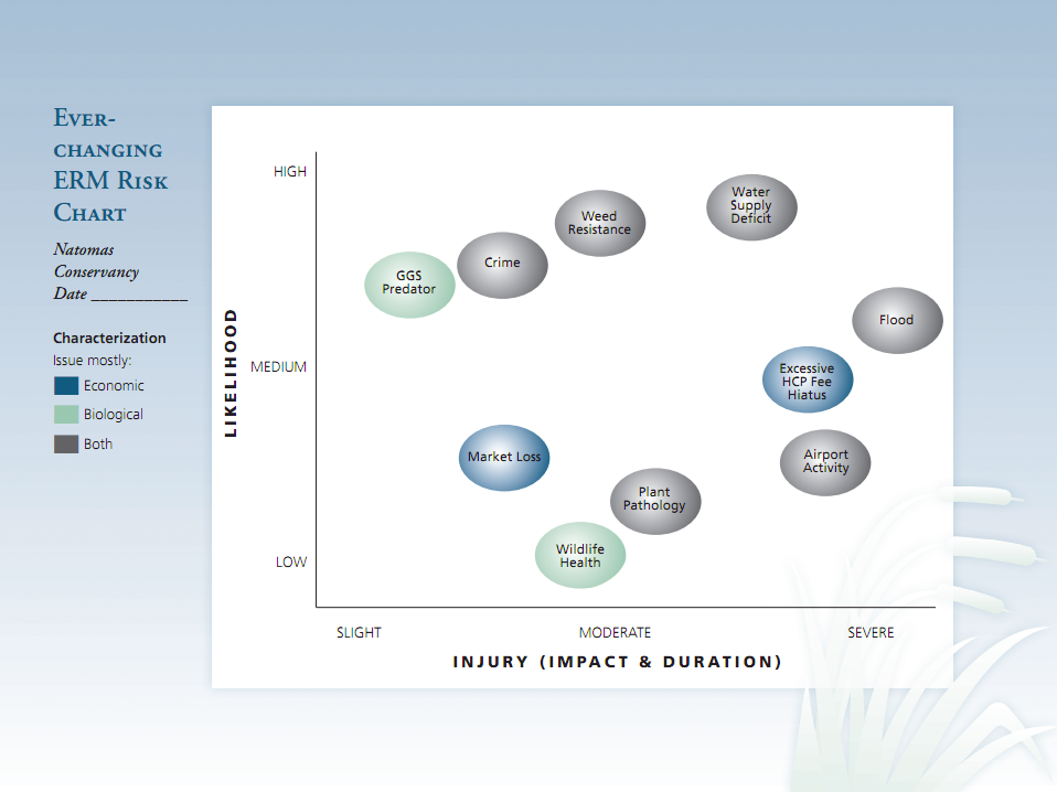 presentation slide of Ever-changing Enterprise Risk Management (ERM) Risk Chart