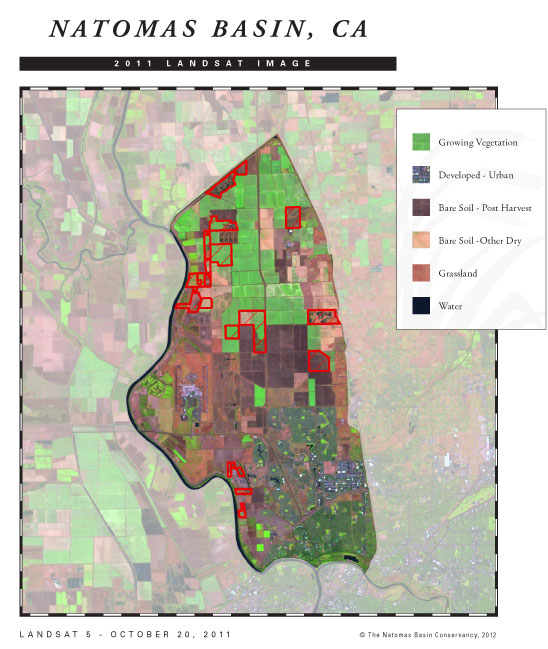 color-coded Year-end 2011 LANDSAT image showing types of land and soil