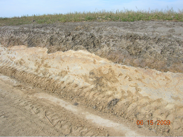 mid-shot of layers of soil at the Conservancy that shows the difference between topsoil and the "hardpan" under it