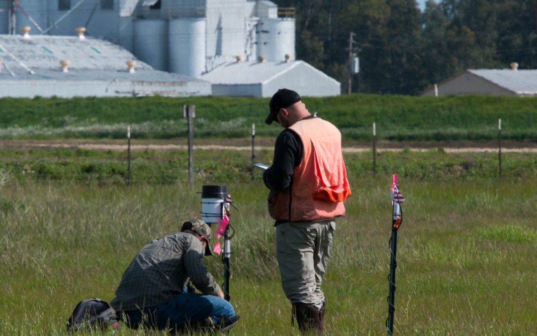 two male U.S. Army Corps of Engineers scientists on Conservancy preserves gathering instrument readings