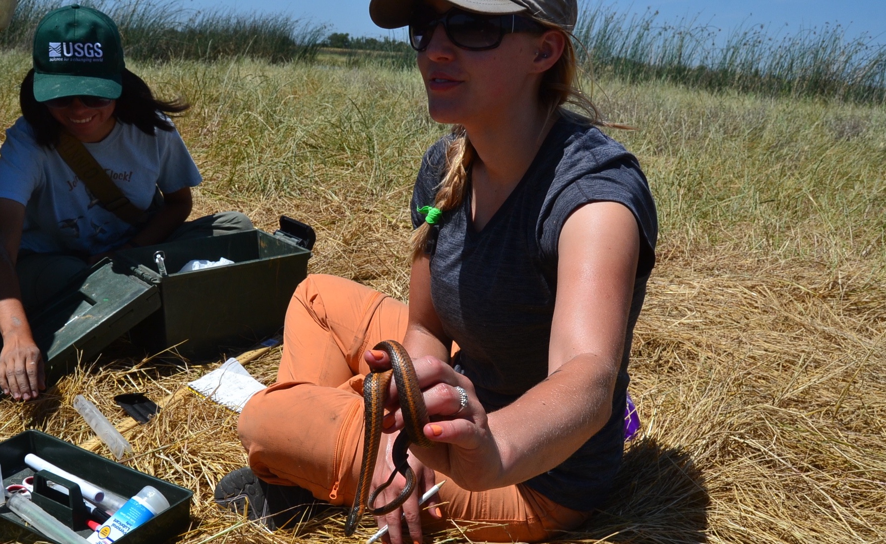 a woman on the Conservancy's biological monitoring team holding a young Giant garter snake in her left hand towards the camera