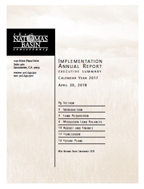 thumbnail of the text of the cover page of Implementation Annual Report for 2017