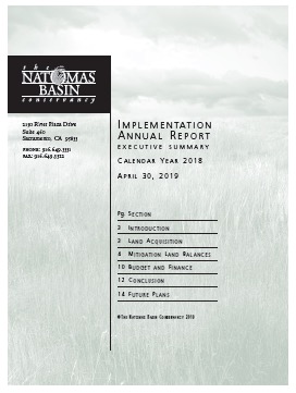 thumbnail of the text of the cover page of Implementation Annual Report for 2018