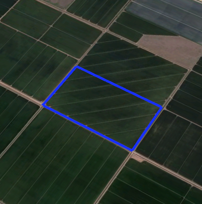 aerial view of part of the Natomas Basin Preserve with a blue digital outline highlighting 80 acres of land