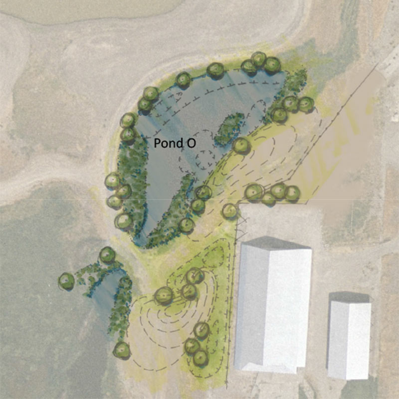 color illustration of revised concept for the Pond O habitat