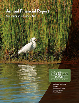 Cover images of the Annual Audit report.