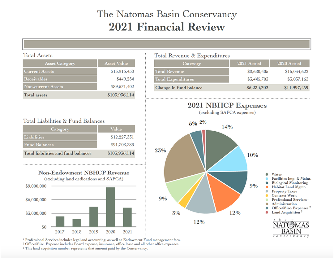 Color chart referencing the 2021 Financial Review. There are four sections, each showing asset values, liabilities and fund balances, revenue and expenditures, and a pie chart to visually indicate the percentage breakdown of expenses.